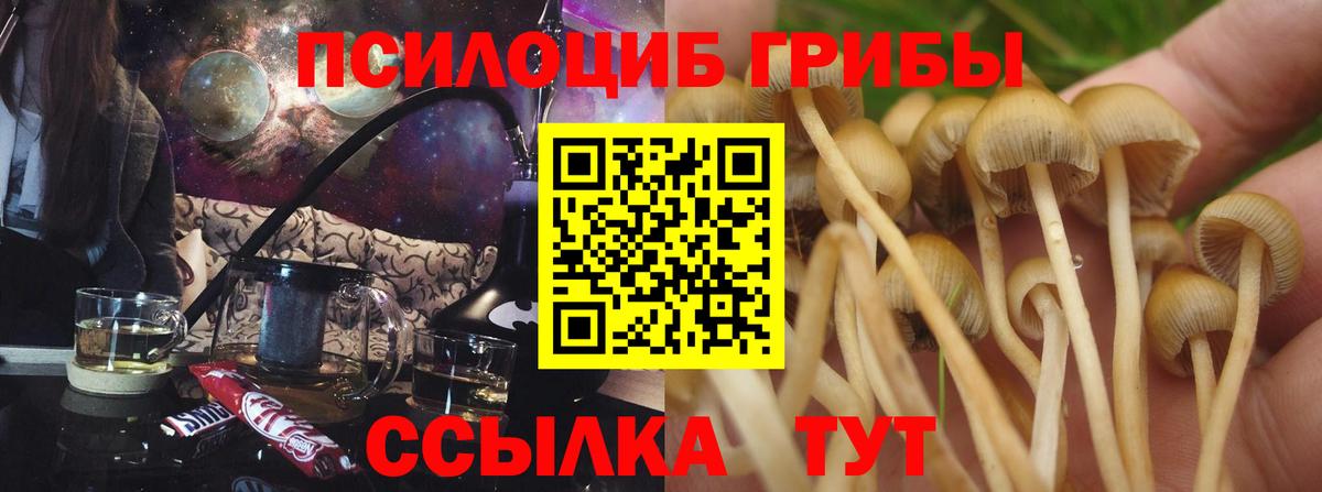 Москва  магазин продажи наркотиков  Вход с VPN  Галлюциногенные грибы Psilocybe  Псилоцибиновые грибы GOLDEN TEACHER 
